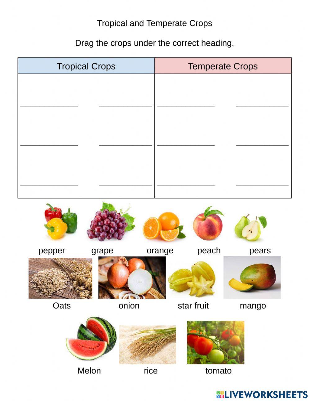Tropical and Temperate Crops