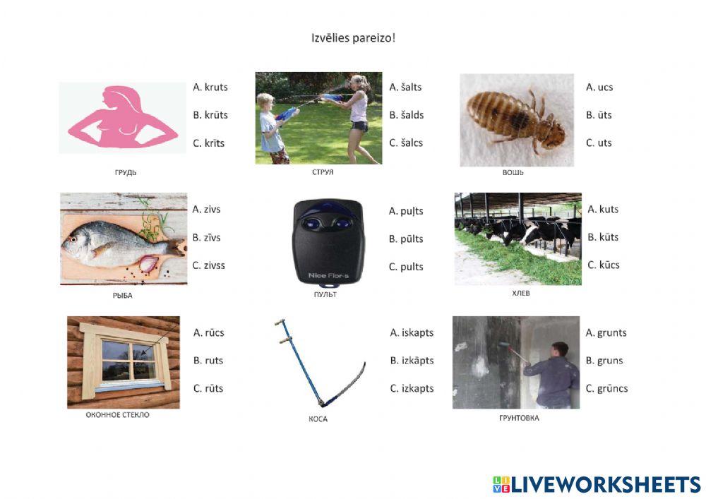 6. deklinācijas vārdu pareizrakstība 1.daļa