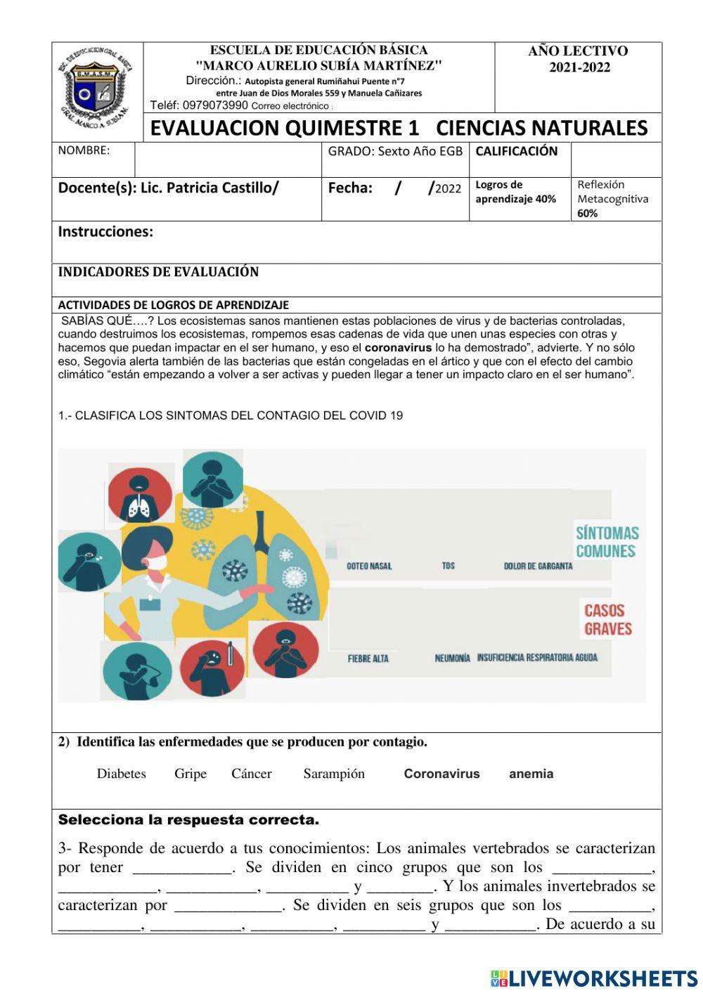 PRUEBA DE PRIMER  QUIMESTRE  CIENCIAS NATURALES 