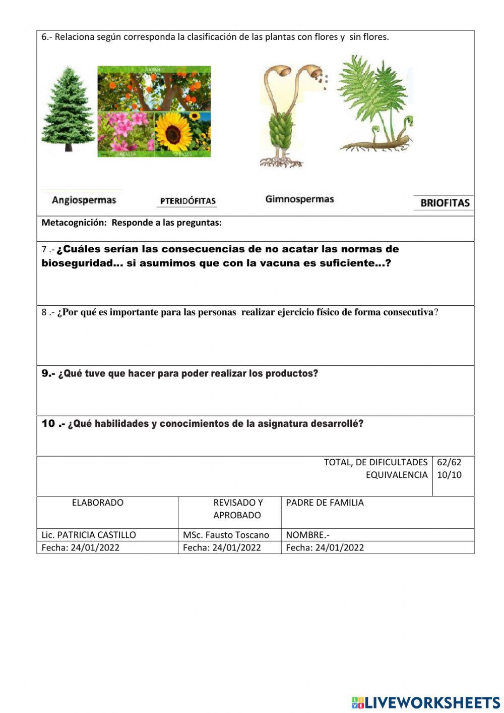 PRUEBA DE PRIMER  QUIMESTRE  CIENCIAS NATURALES 