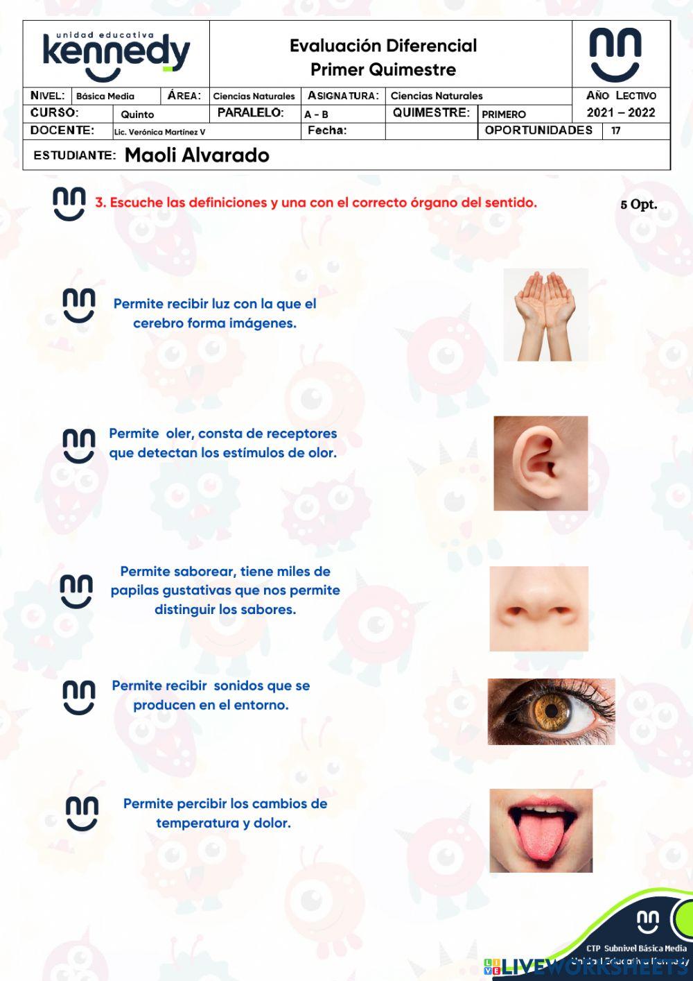 UE Kennedy - Evaluación CCNN - Diferencial