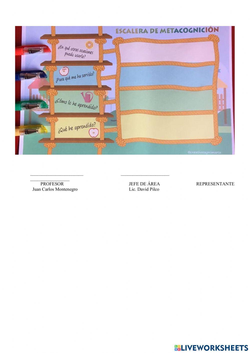 Prueba piloto de mate