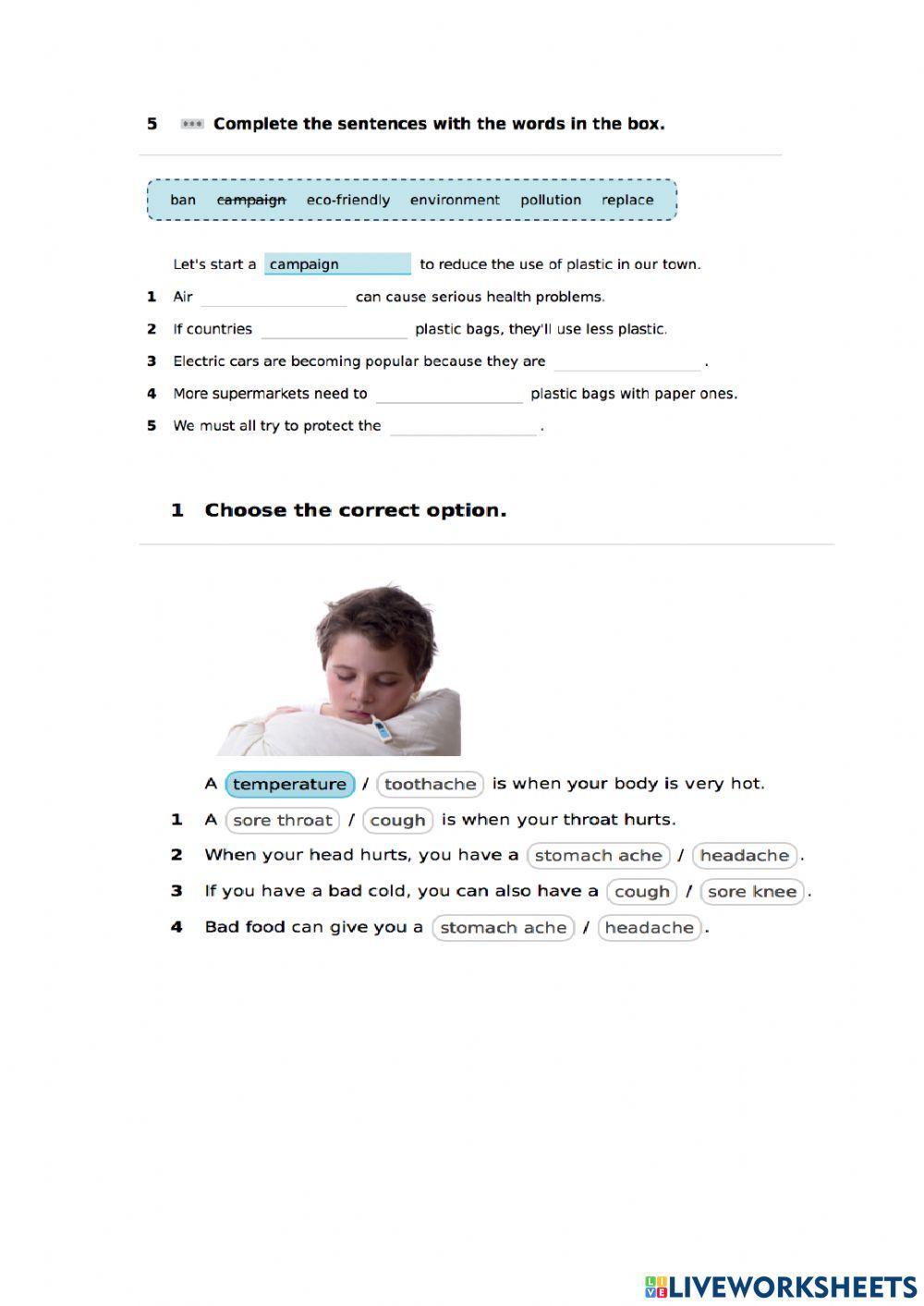 Revision Vocabulary Energize2 Unit3