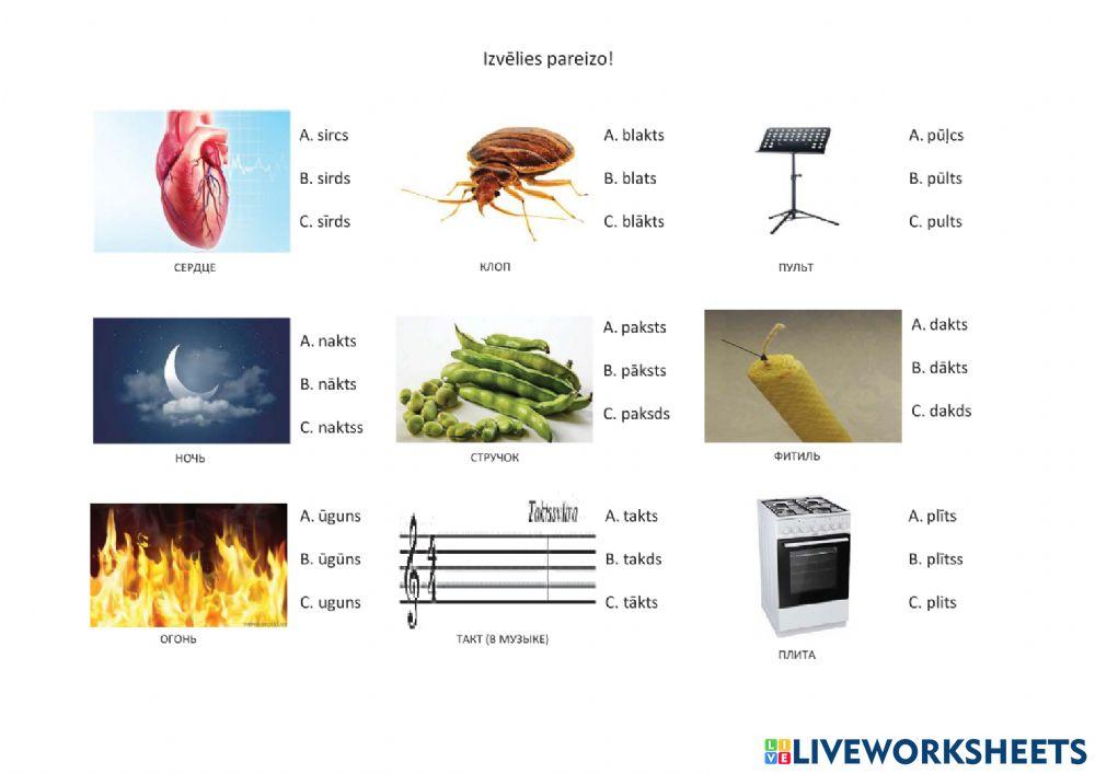 6. deklinācijas vārdu pareizrakstība 2. daļa