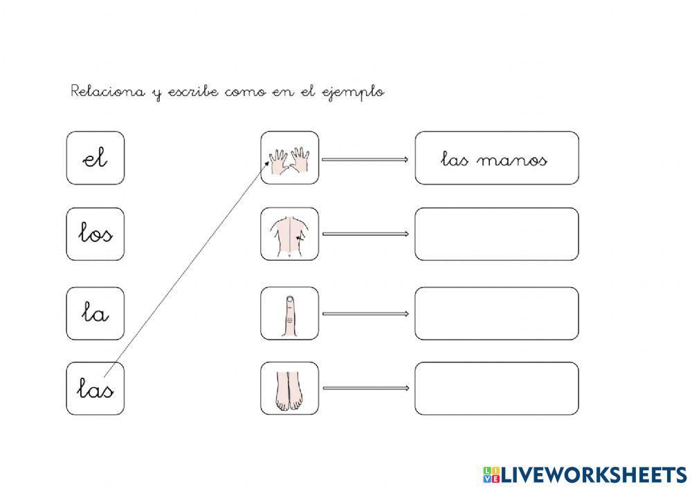 Artículo determinado e indeterminado