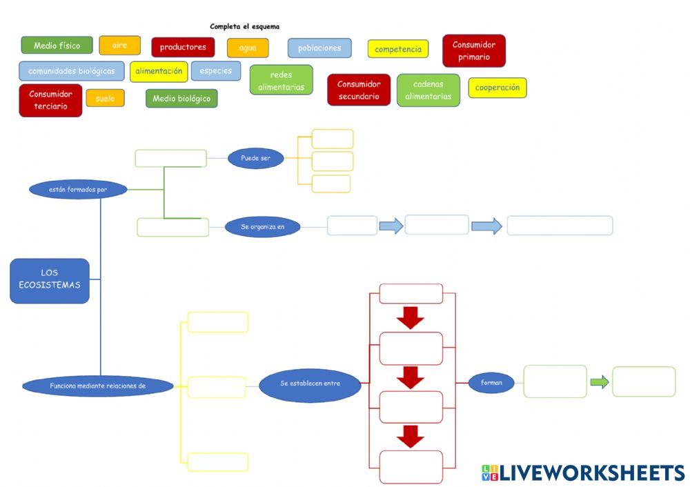 Esquema ecosistemas Esquema ecosistemas