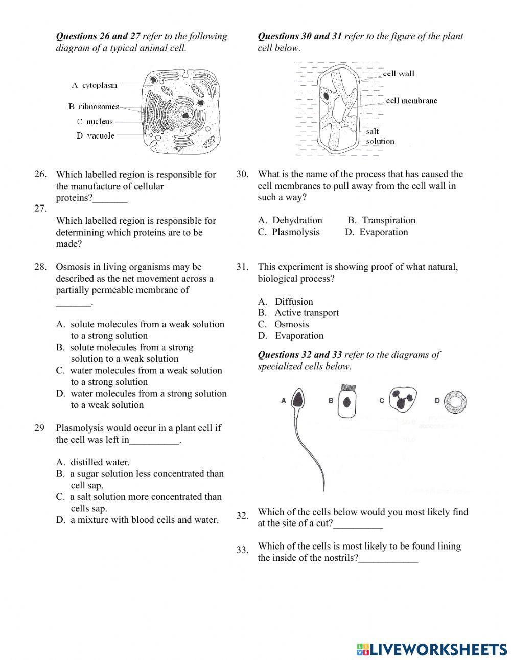 Year 10 Cells and Molecular Transport MCQ 2022