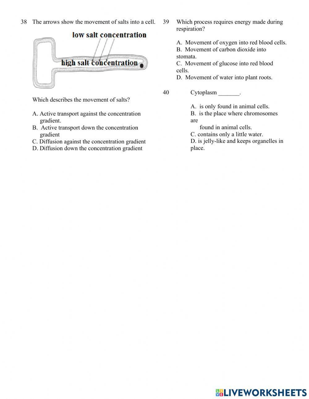 Year 10 Cells and Molecular Transport MCQ 2022