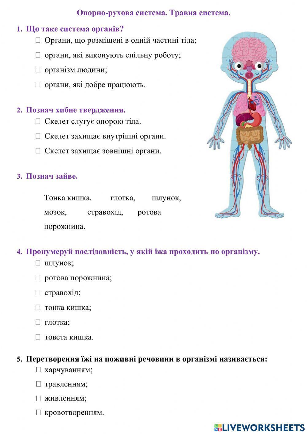 Організм людини