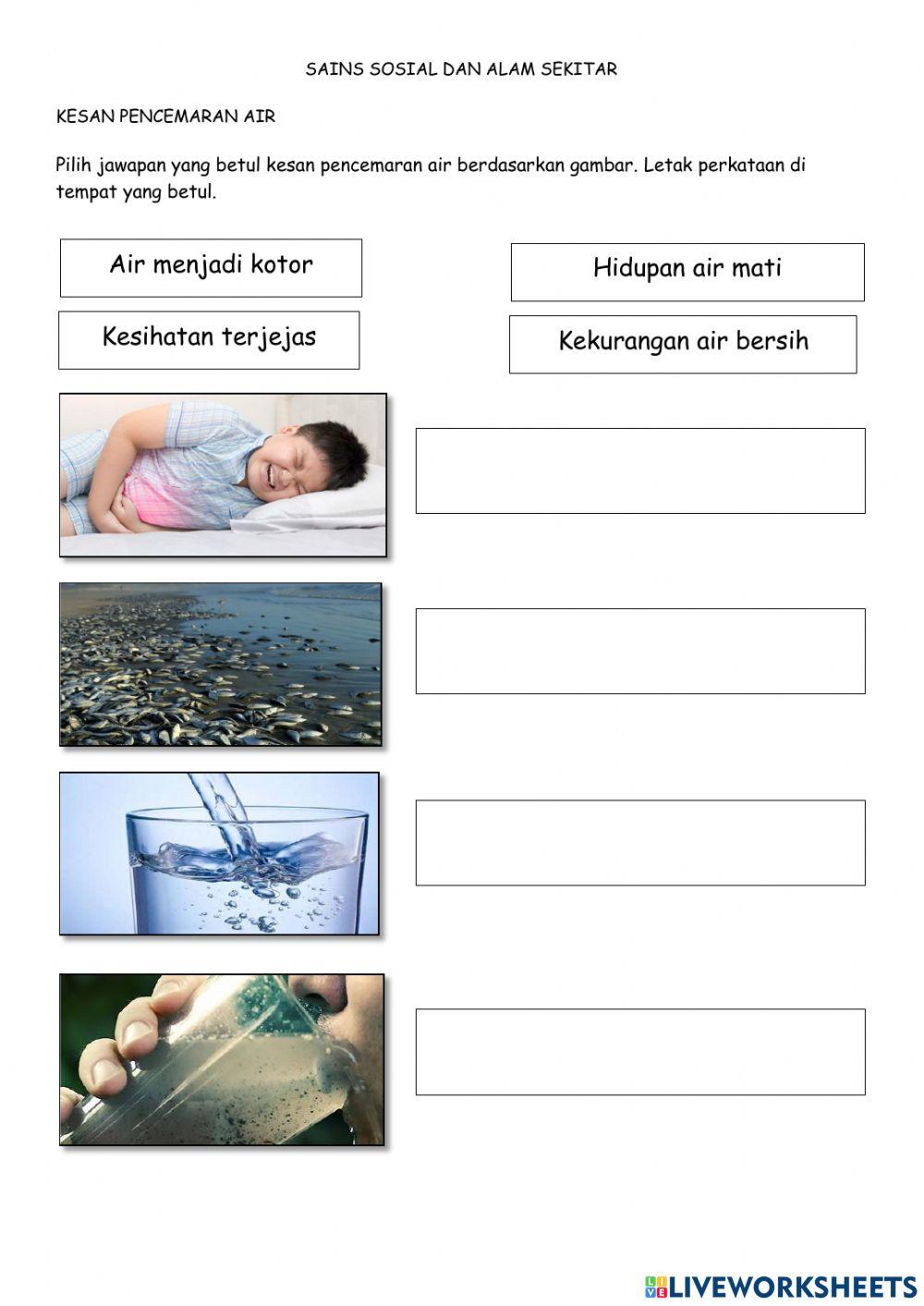 Kesan pencemaran air