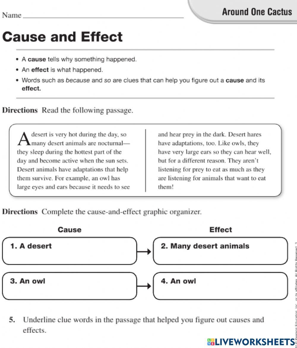 4271865 | Cause and Effect Around One Cactus