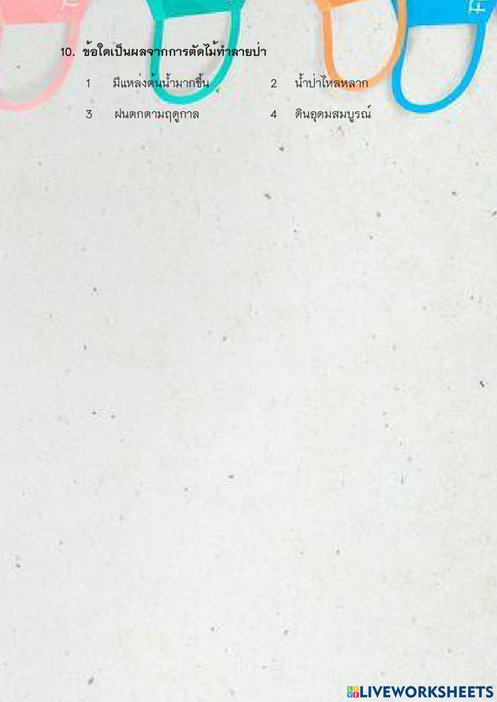 ป6 แบบทดสอบเรื่องภัยพิบัติ