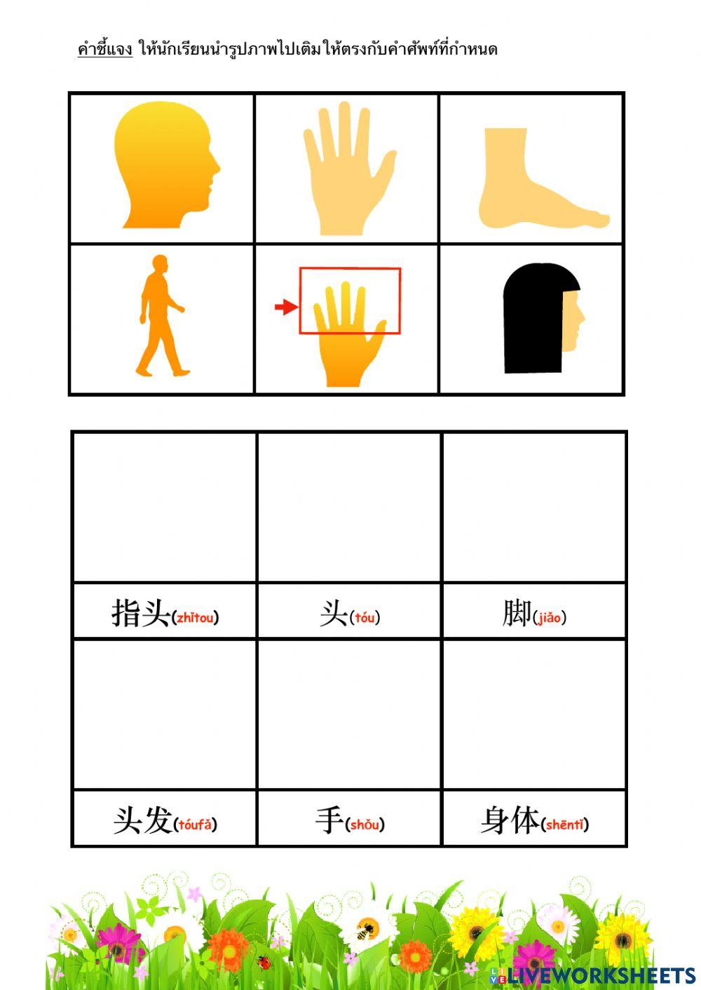 hello-chinese-gr1-7-online-exercise-for-live-worksheets