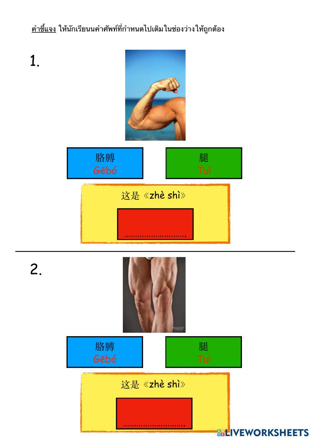 hello-chinese-gr1-7-online-exercise-for-live-worksheets