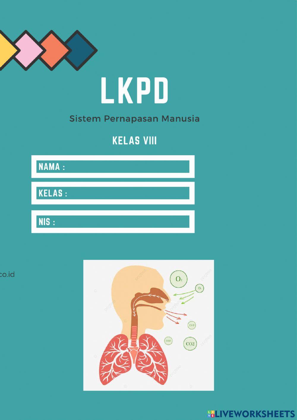 Sistem pernapasan manusia 1