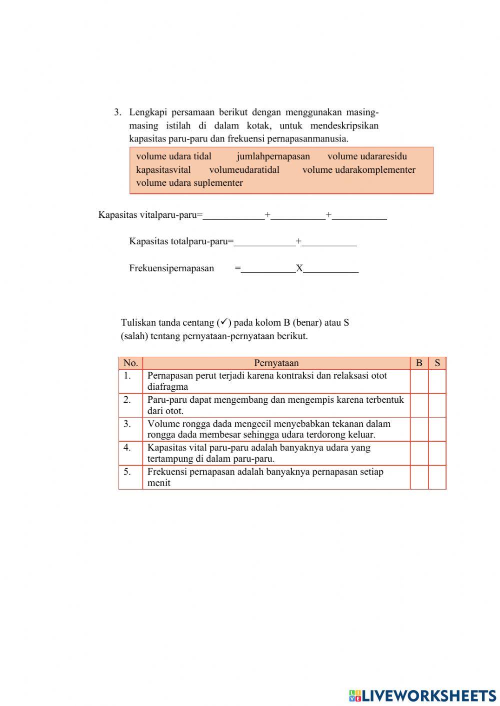 Sistem pernapasan manusia 2