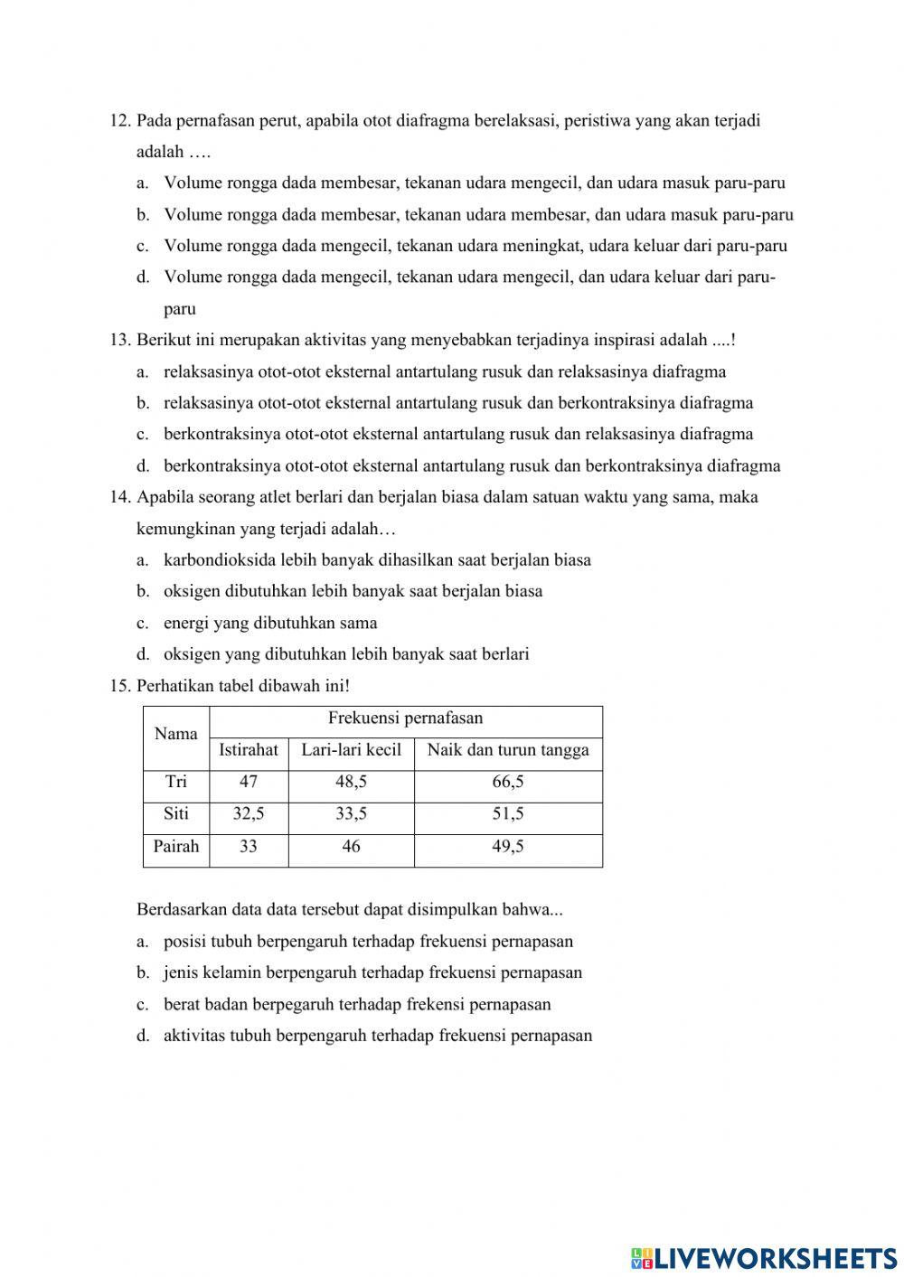 Sistem Pernapasan Pada Manusia