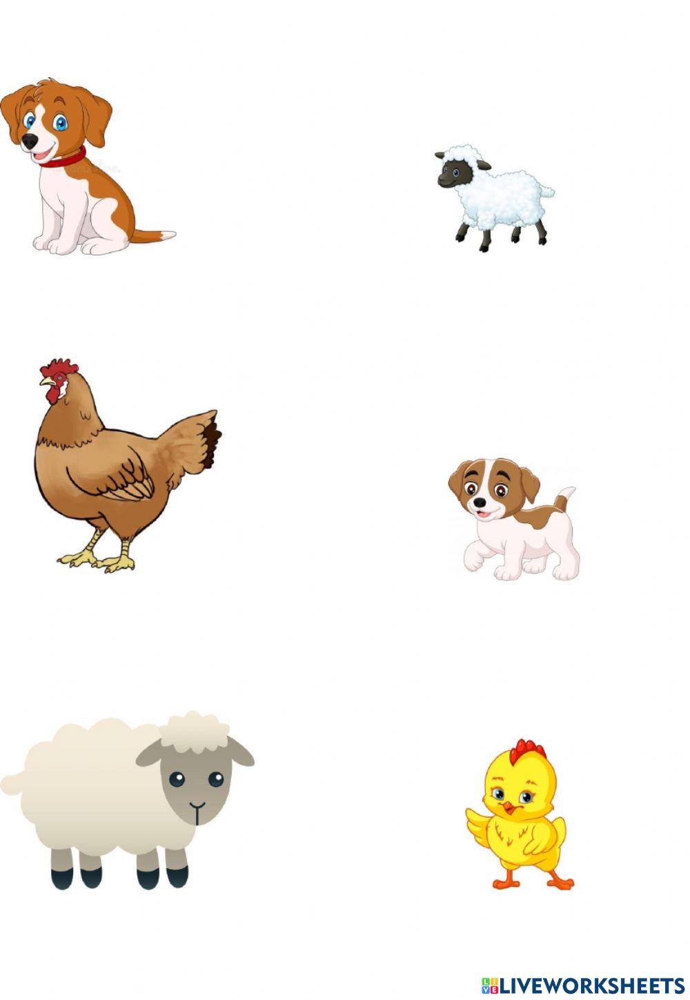 Домашни животни interactive activity | Live Worksheets