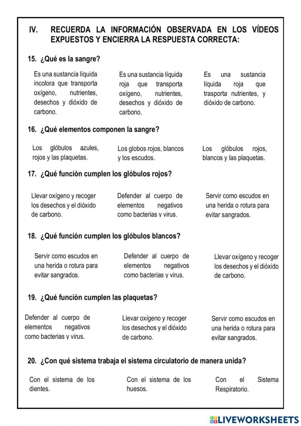 El Sistema Circulatorio