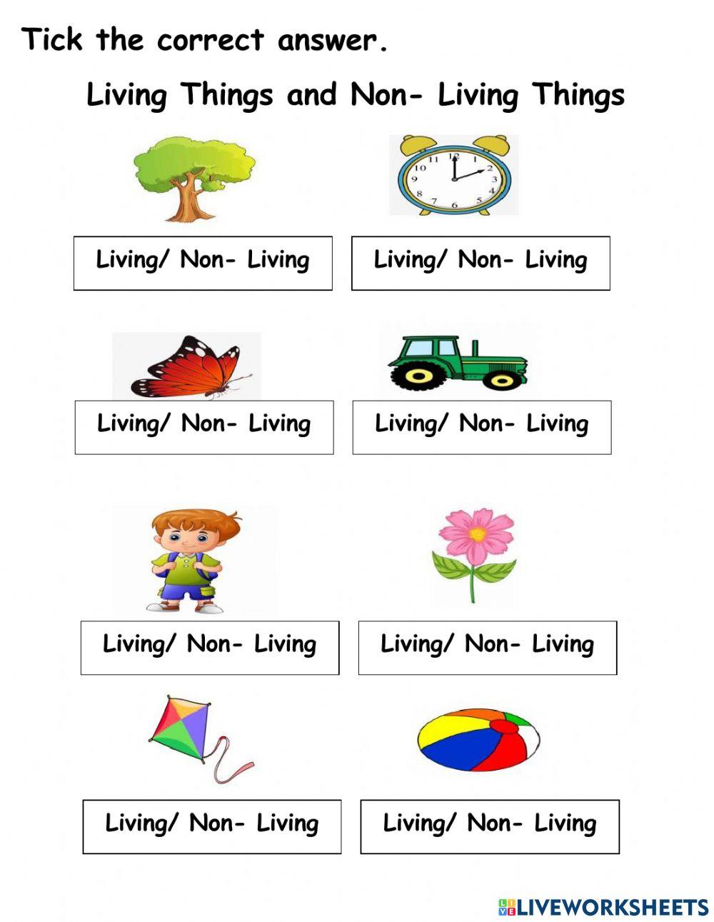 1887015 Living And Non living Things JayYel 1887015-living-and-non-living-things-jayyel