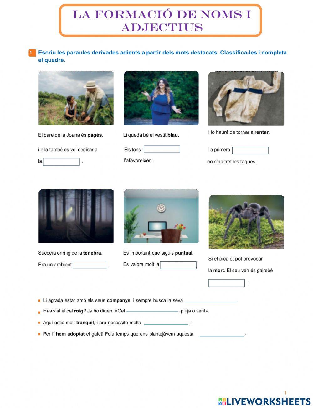 La formació de noms i adjectius