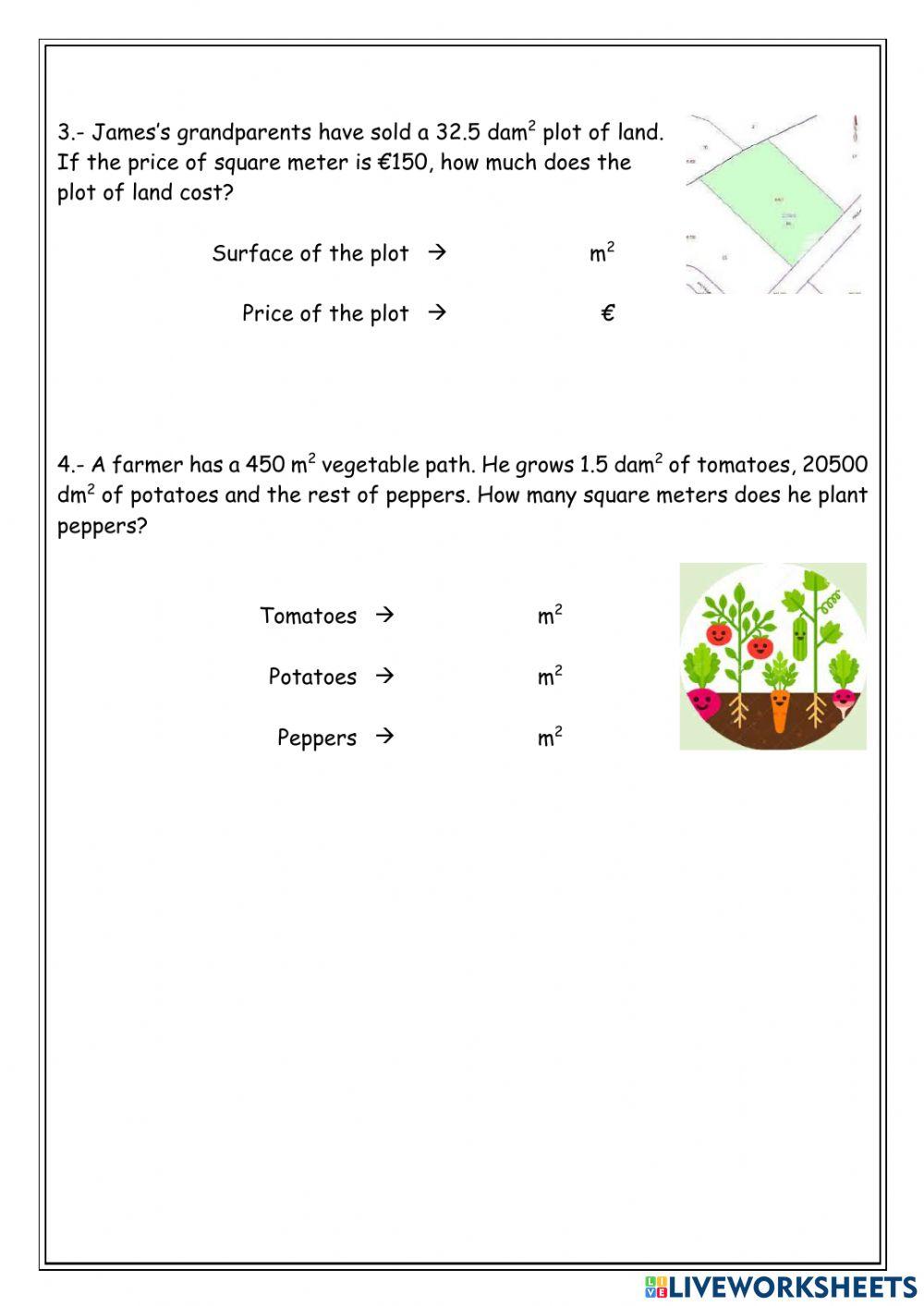Units Of Surface Units Of Surface