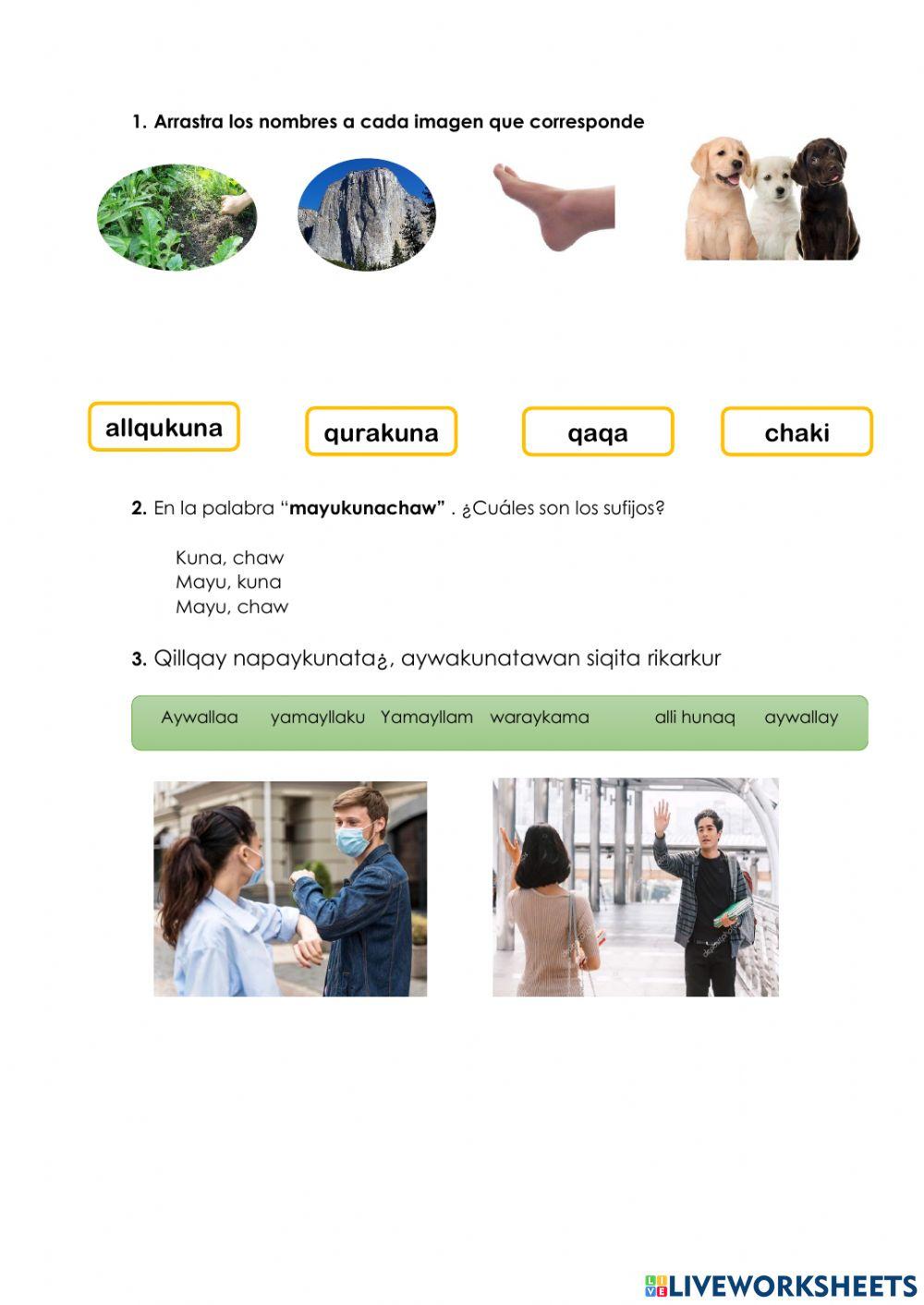 Práctica liverworkseeth