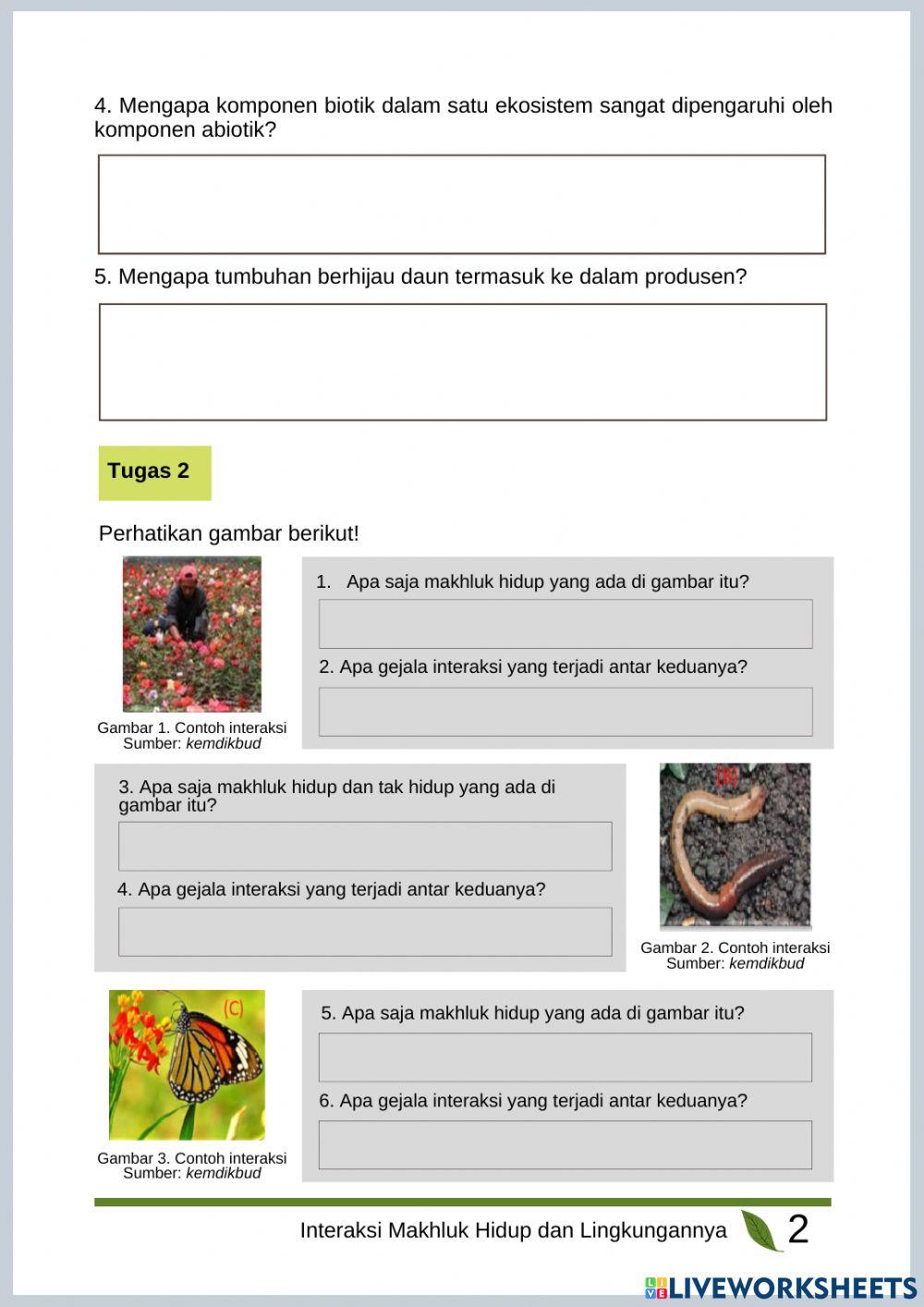 Lembar Kerja Interaksi 1
