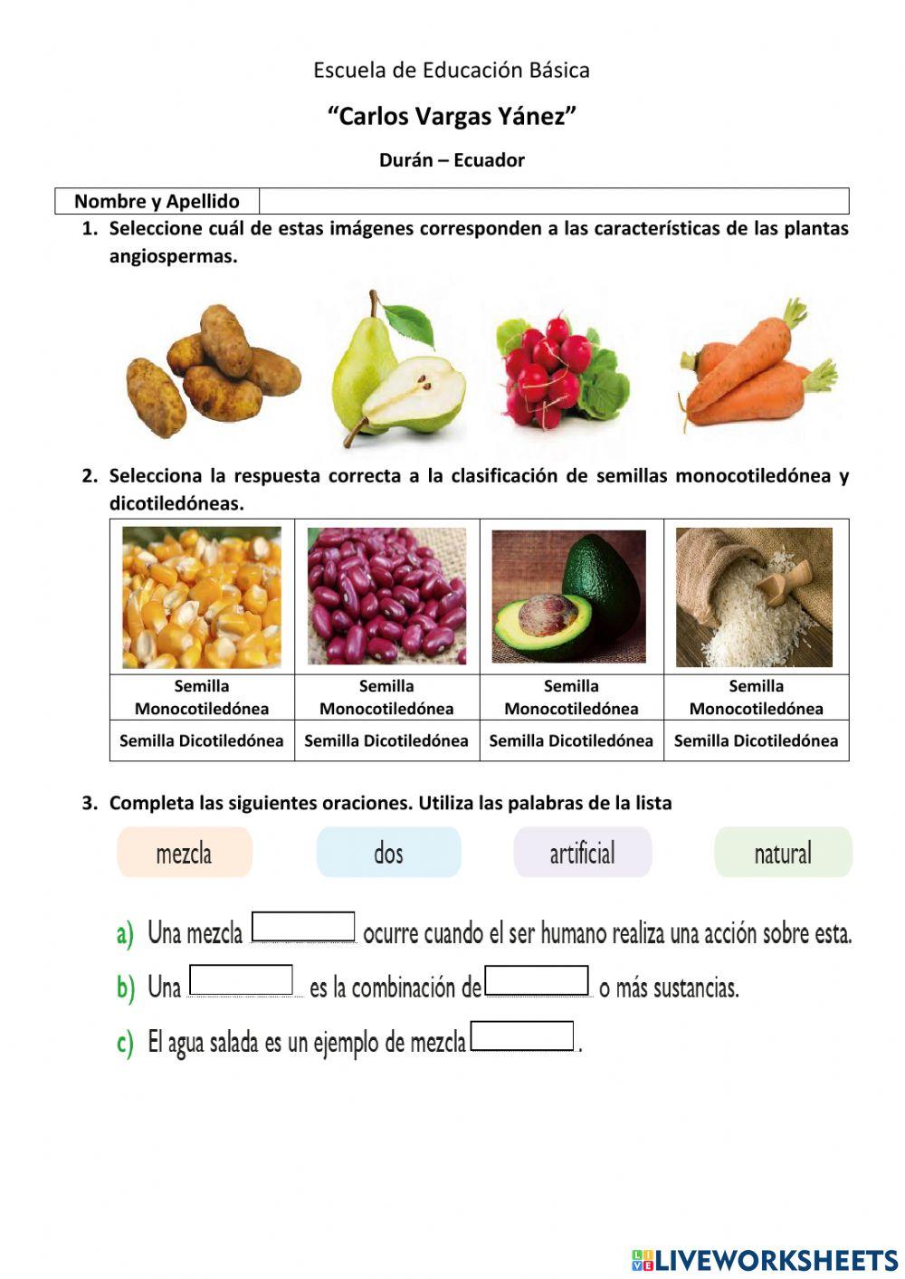 Evaluación 4to EGB 2do Quim