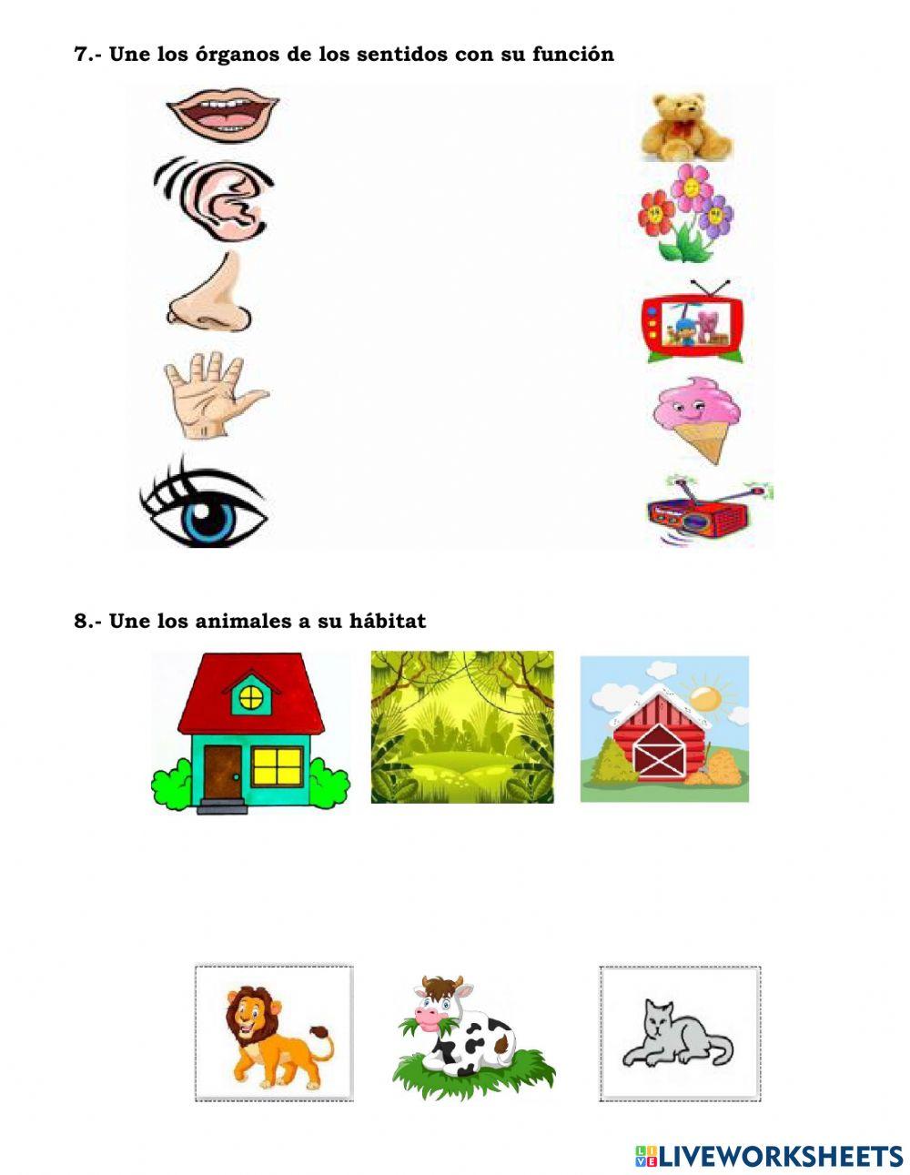 Evaluación quimestral