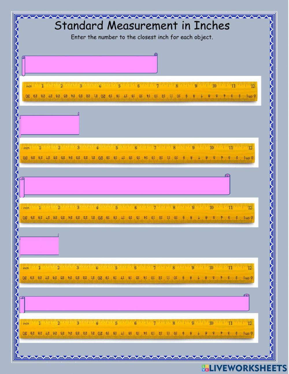 Standard Measurement 6