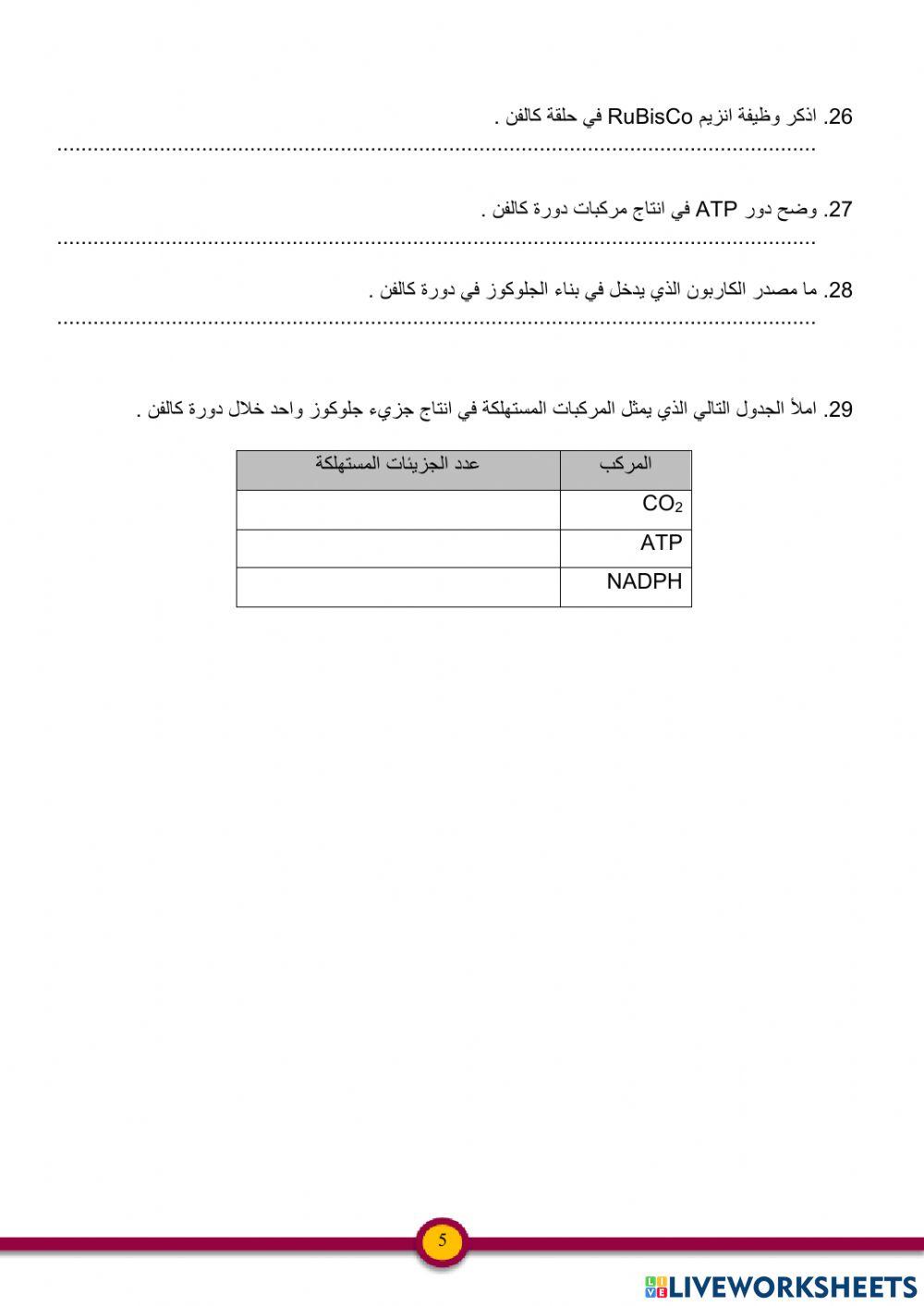 ورقة عمل البناء الضوئي