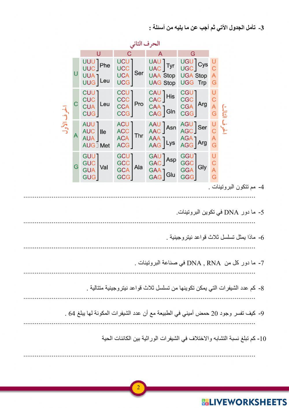 بناء البروتين والطفرات