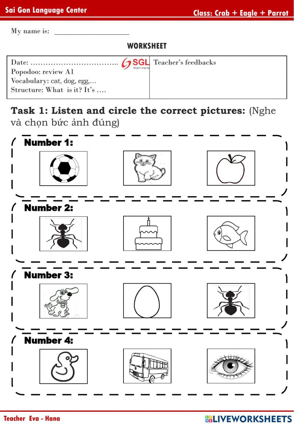 Popodoo Review A1 (Crab, Eagle, Parrot)