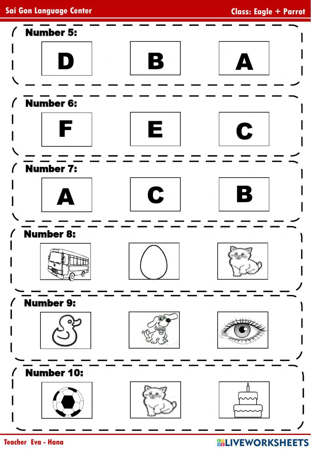 Popodoo Review A1 (Crab, Eagle, Parrot)