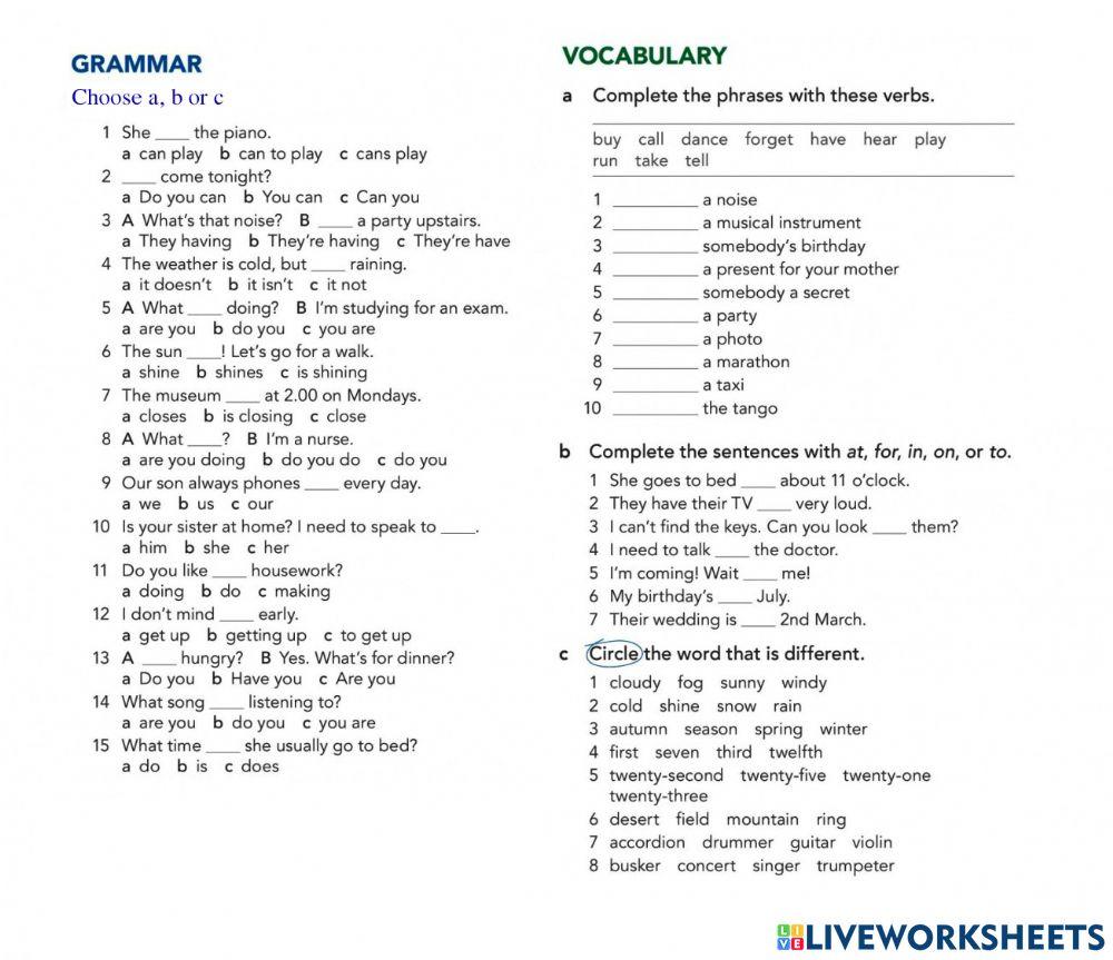 Grammar and vocaulary excercise
