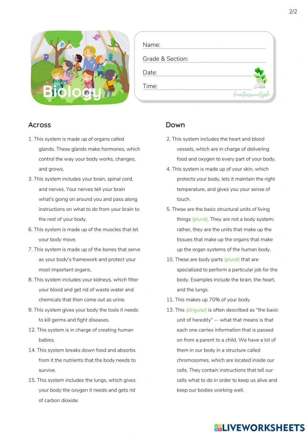 Human Body Systems - HuntersWoodsPH.com Worksheet