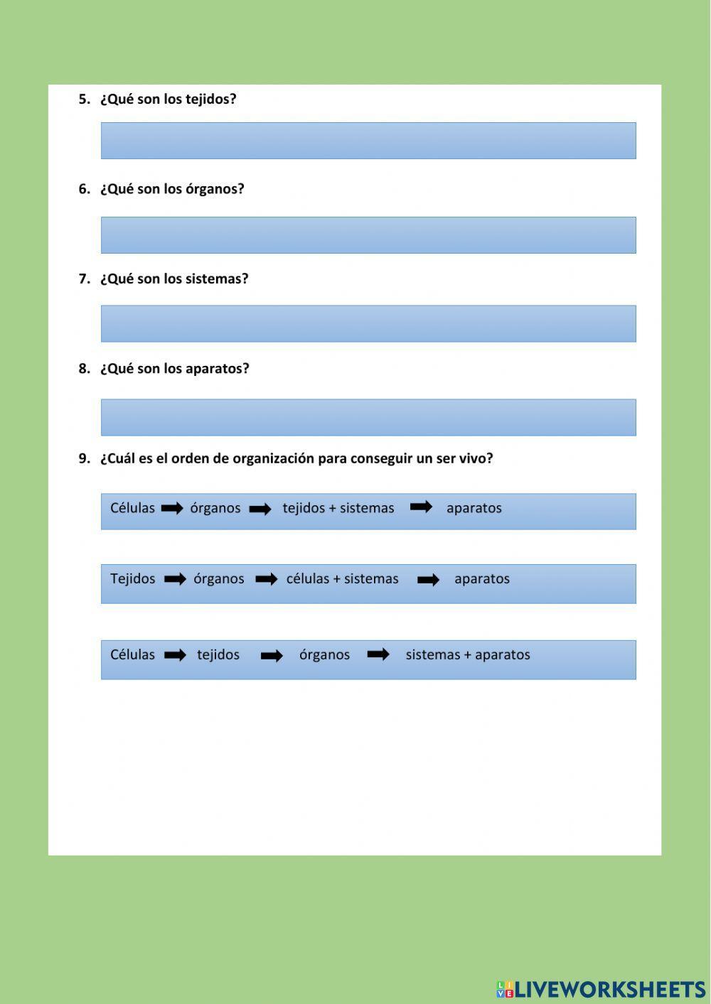 Las células  y organización del cuerpo humano