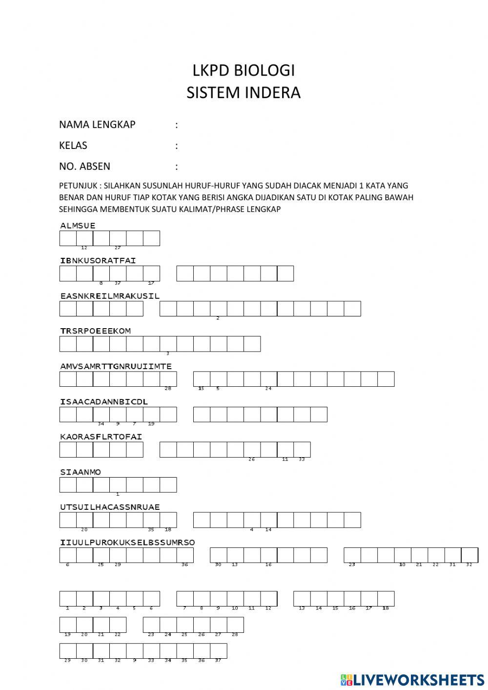 Tts sistem indera new