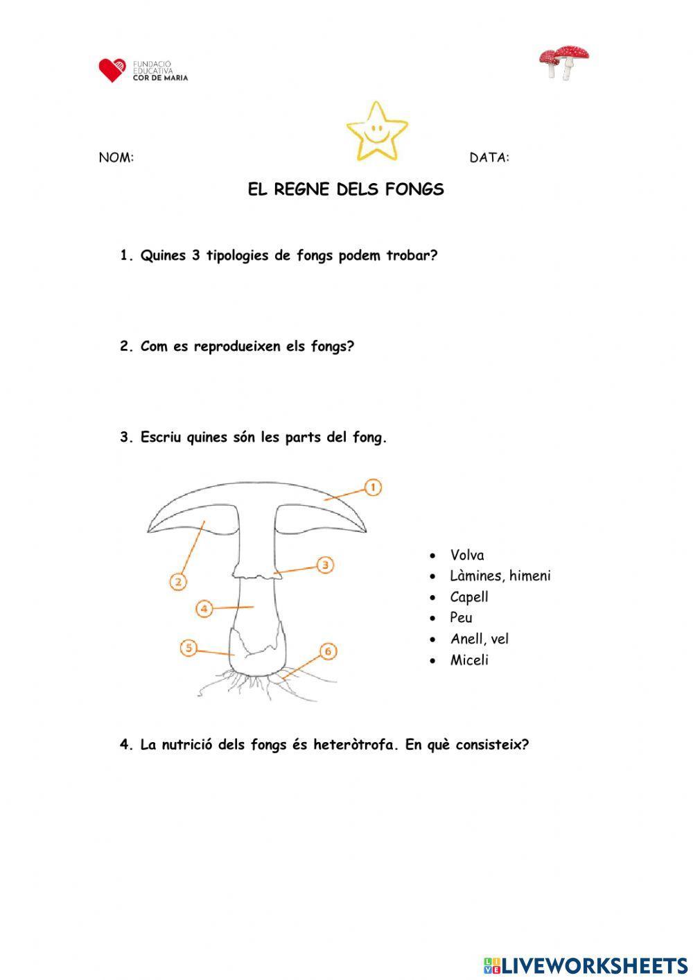 Prova estrella dels fongs