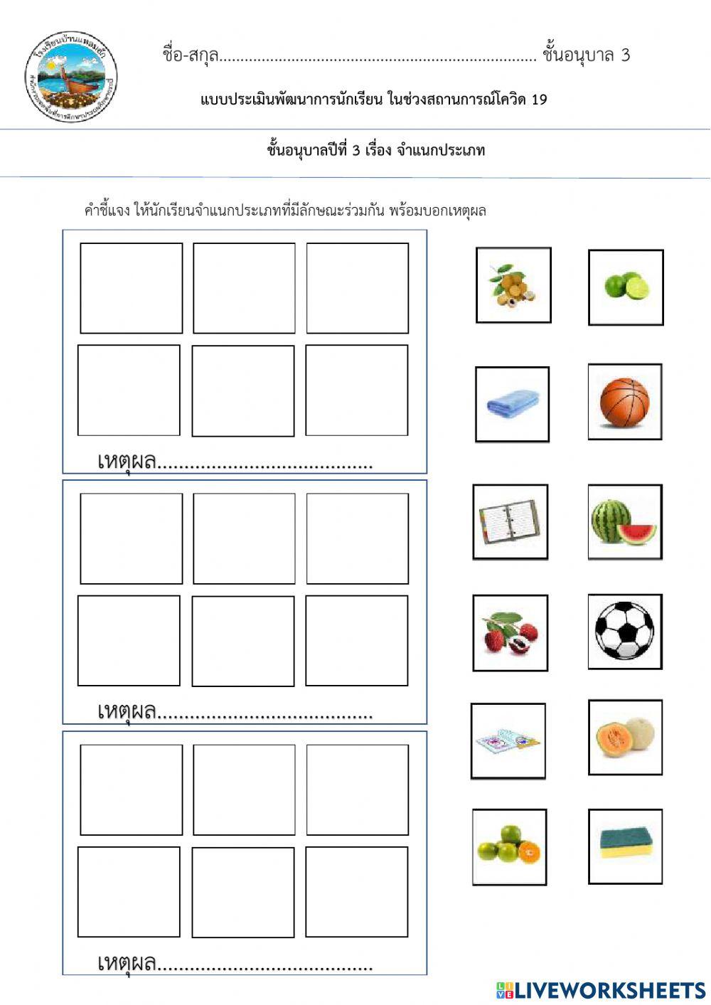 4จำแนกประเภทที่มีลักษณะร่วมกันอนุบาล3