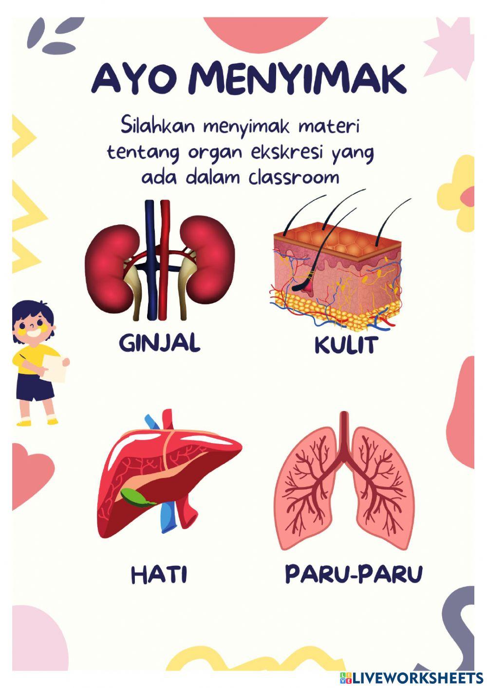 Sistem pengeluaran (ekskresi)