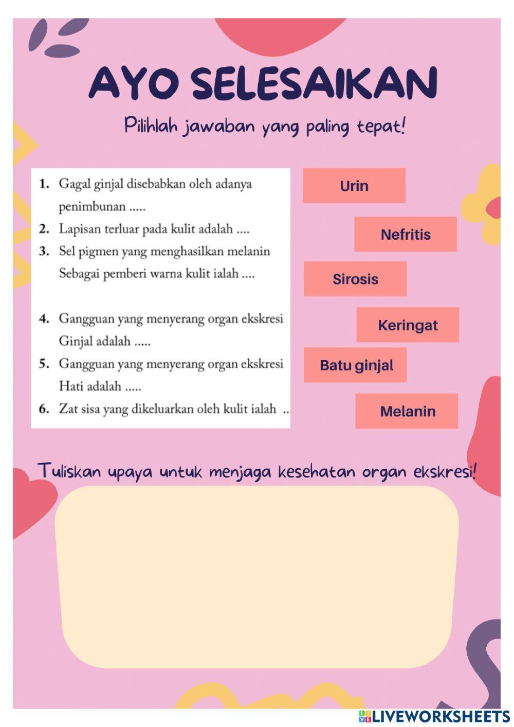 Sistem pengeluaran (ekskresi)