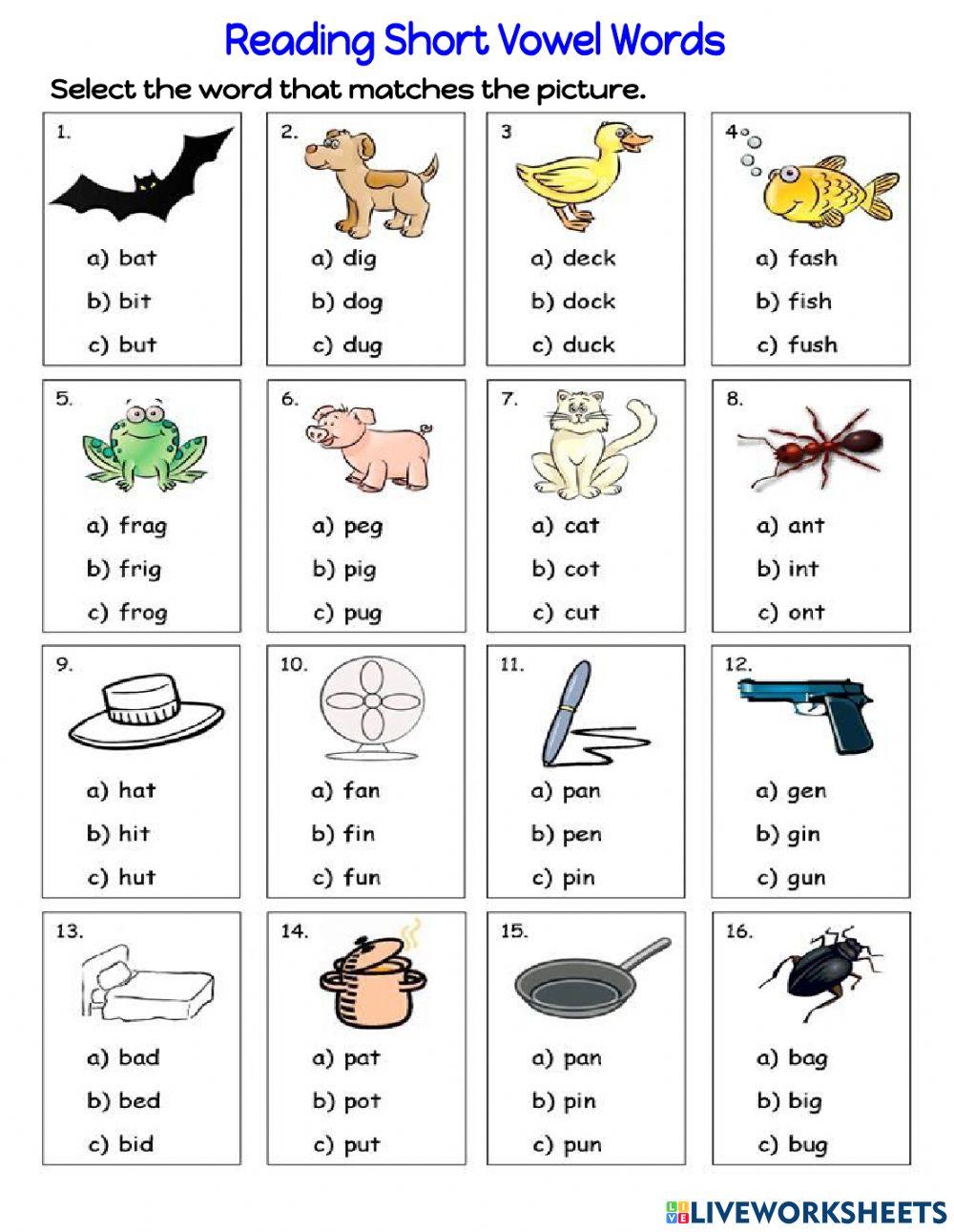 Reading Short Vowel CVC Words 1889977 Hgd4 Live reading-short-vowel-cvc-words-1889977-hgd4-live