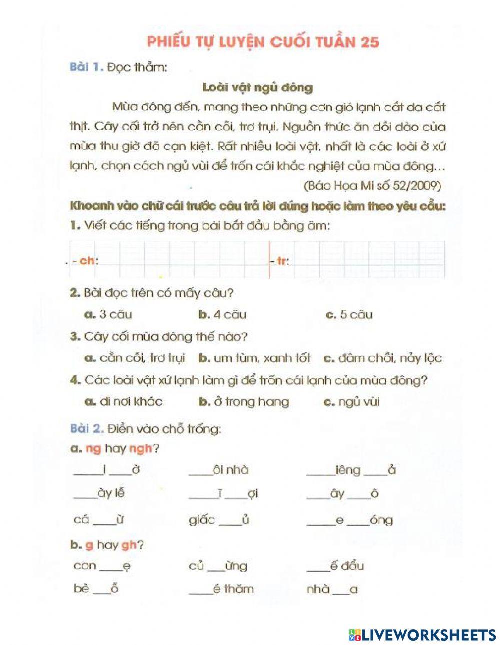 Bài tập tuần 24