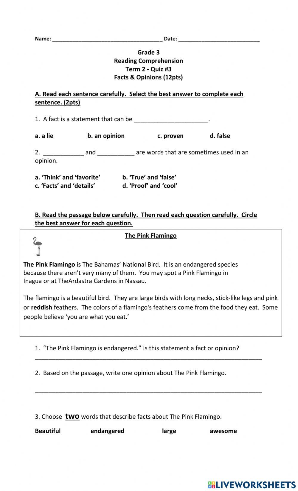 Facts and Opinions Quiz 3