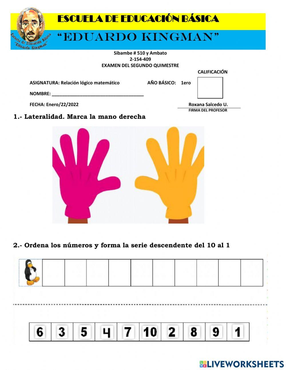 Evaluaciones Quimestrales