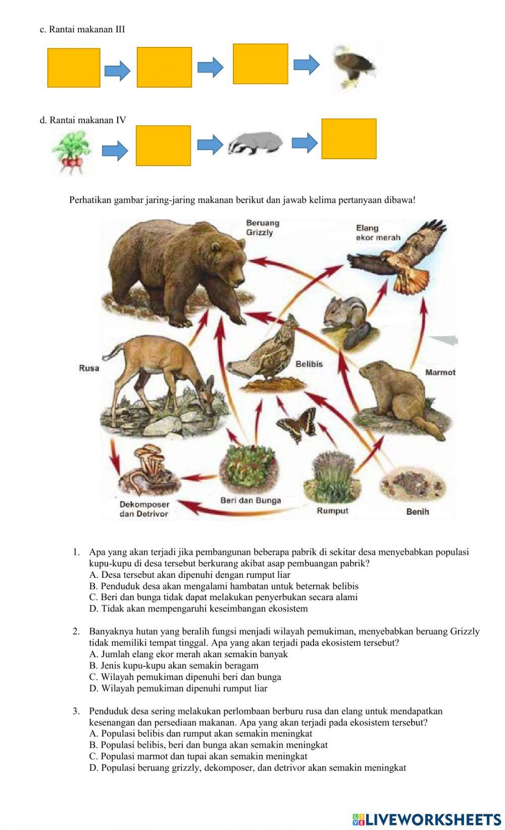 Interaksi Makhluk Hidup