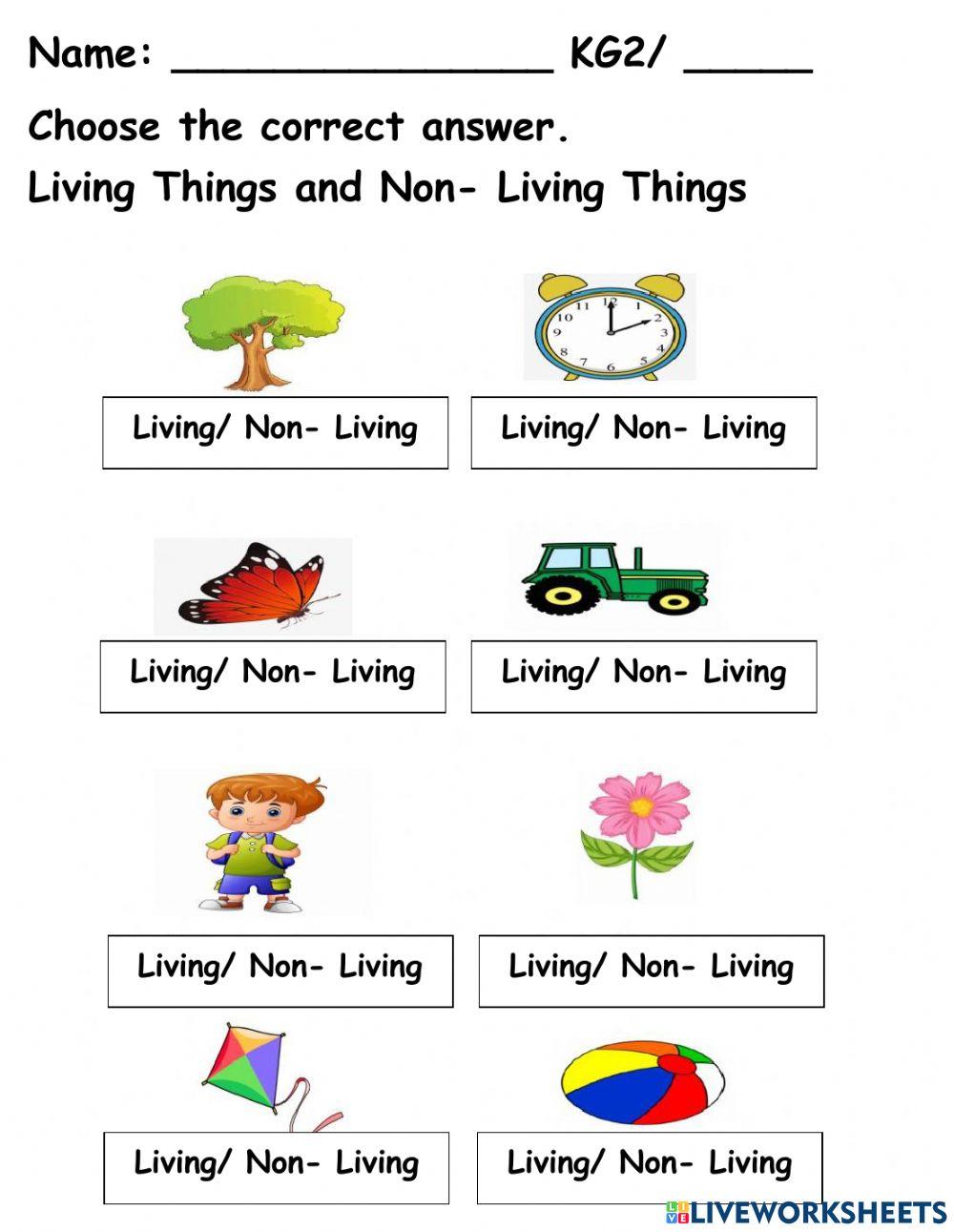 Living and Non Living Things