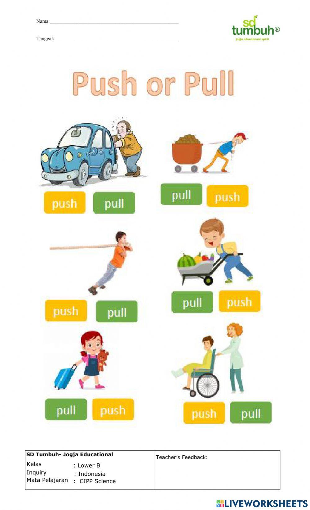 Evaluation push and pull worksheet Live Worksheets